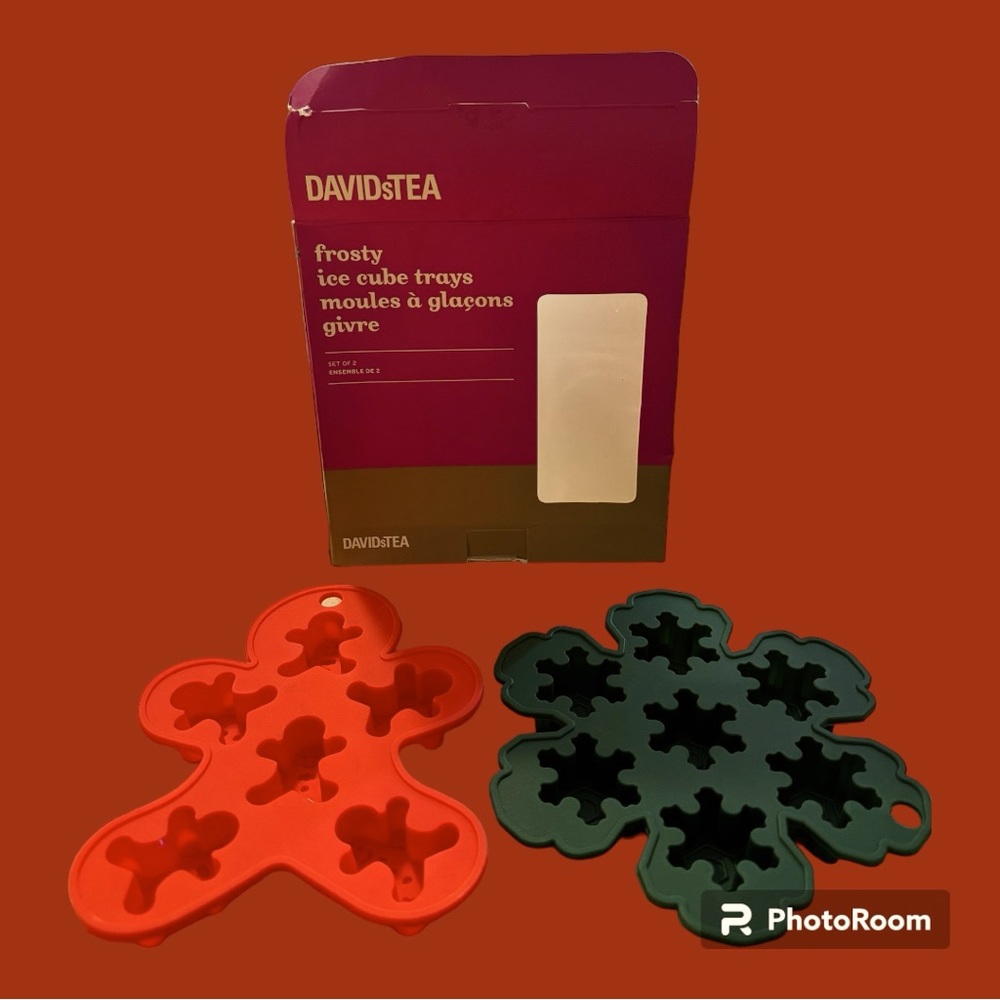 DAVIDsTEA Frosty Ice Cube Trays Set of 2